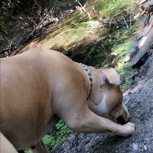 Meet your Posher, Aaron